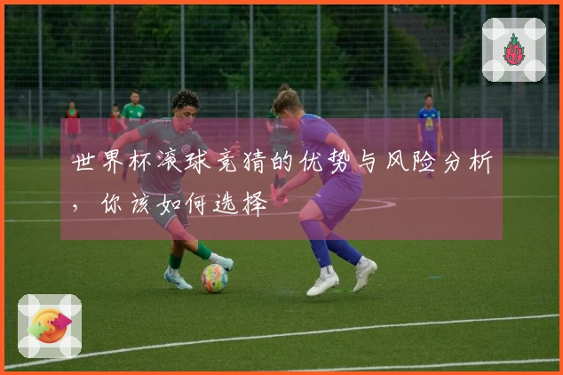 世界杯滚球竞猜的优势与风险分析，你该如何选择