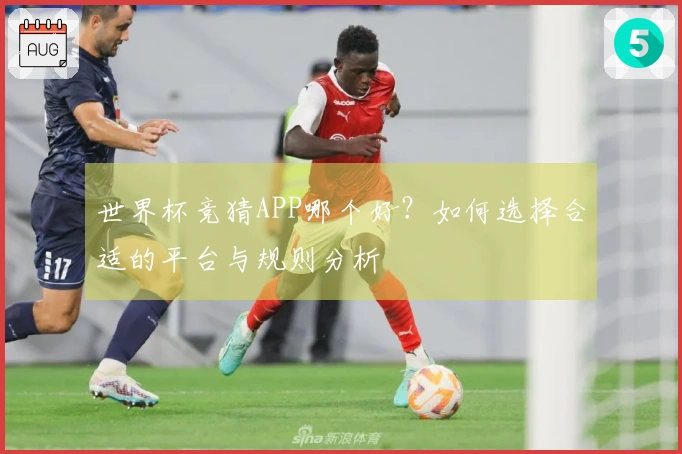 世界杯竞猜APP哪个好？如何选择合适的平台与规则分析