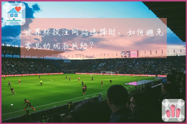世界杯投注网站选择时，如何避免常见的坑和风险？
