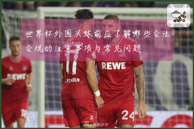 世界杯外围买球前应了解哪些合法合规的注意事项与常见问题