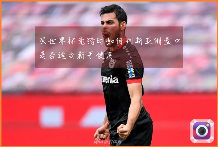买世界杯竞猜时如何判断亚洲盘口是否适合新手使用