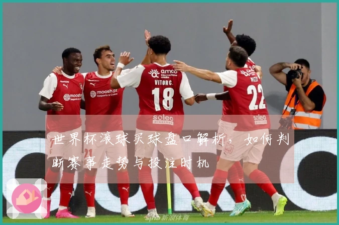 世界杯滚球买球盘口解析，如何判断赛事走势与投注时机