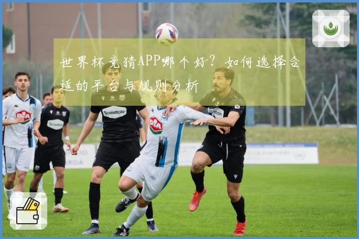 世界杯竞猜APP哪个好？如何选择合适的平台与规则分析