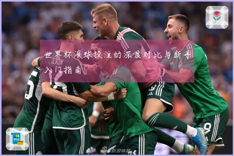 世界杯滚球投注的深度对比与新手入门指南